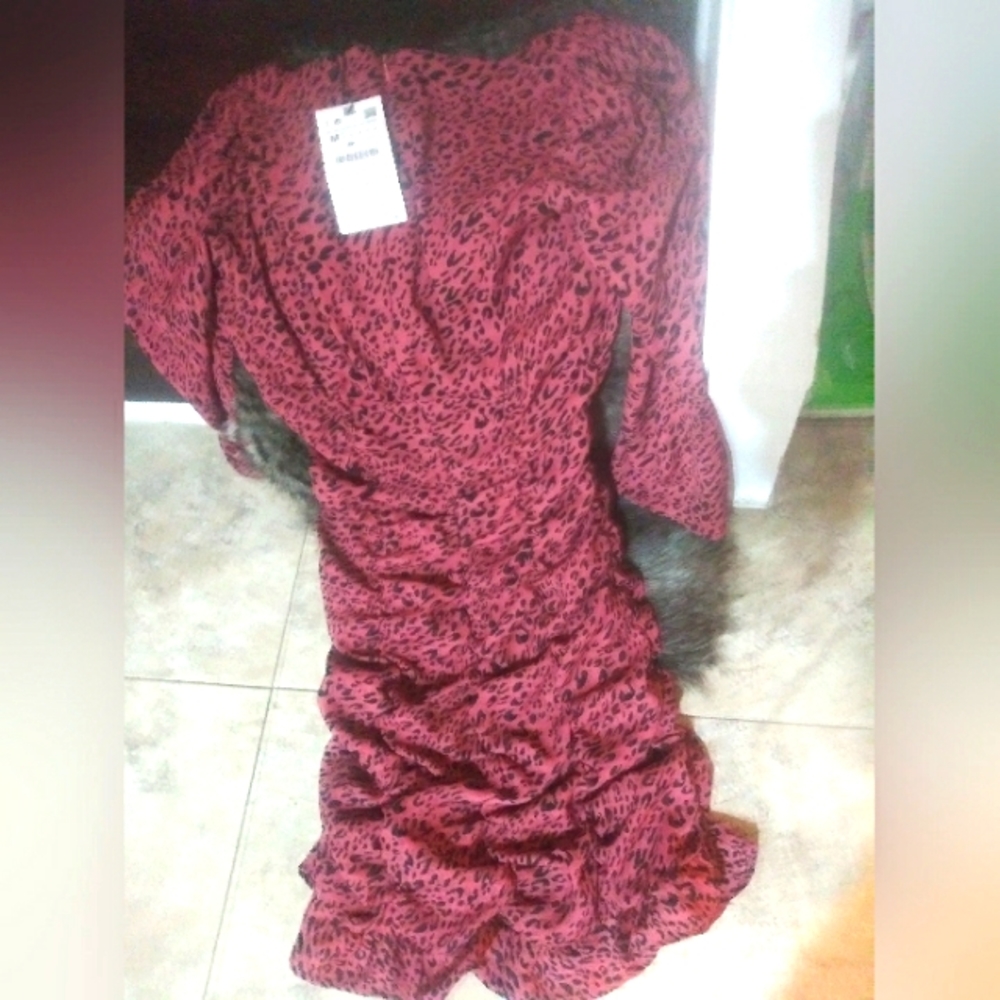 NWT Zara sexy dress